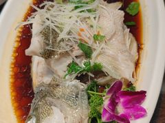 清蒸鲈鱼-东北大院·东北菜(三台子店)