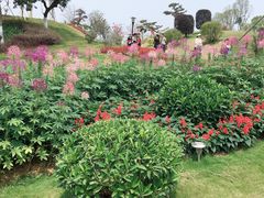 -东莞植物园