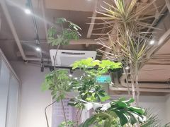 -Wagas沃歌斯(北京君太百货店)