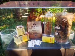 -广州神农草堂中医药博物馆