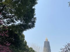 -红梅公园