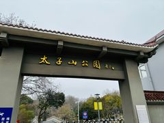 -太子山公园(园东路)