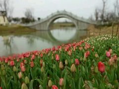 -瑶湖郊野森林公园