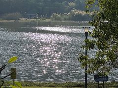 -风云岭森林公园