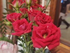 -大门水乡·顺德菜