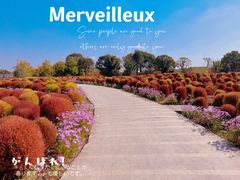 -花开海上生态园