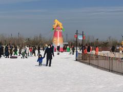 -绿野森林乐园冰雪季