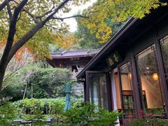 -十八棵（老龙井）御茶园(老龙井店)