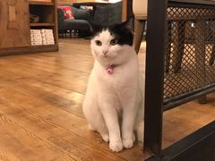 -么么咖啡(燕郊店)