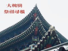 -大槐树寻根祭祖园