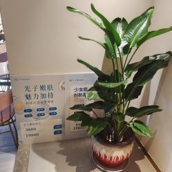 -苑苑vbeauty科技美容SPA