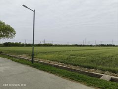 -嘉北郊野公园
