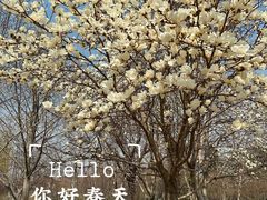 -泰丰公园