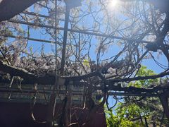 -红螺寺