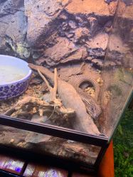 -酷嗒动物文化乐园(cutezoo西溪乐天城店)