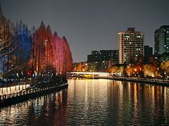 -运河游船(武林门码头)