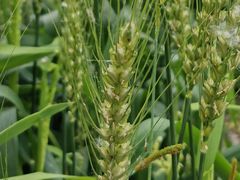 -长兴太湖图影湿地文化园