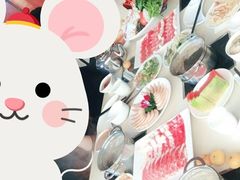 -蜀国传情火锅(大柳塔店)