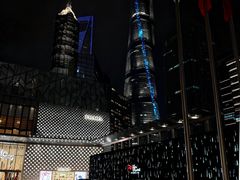 -上海浦东丽思卡尔顿酒店