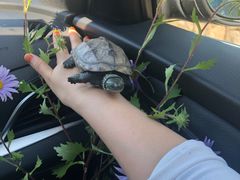 -玉渡山风景区-售票处