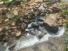 -广州白江湖森林公园