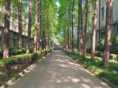 -上海影视乐园