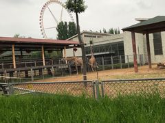 -石家庄市动物园