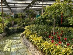 -南宫五洲植物乐园