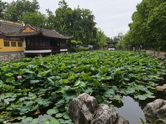 -范蠡湖公园