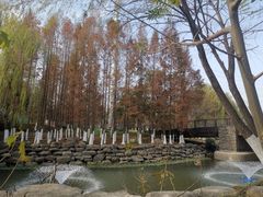 -九里河湿地公园