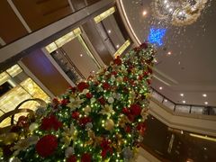 -深圳星河丽思卡尔顿酒店