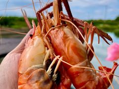 -小陆莲花蟹园农家乐(莲花岛店)