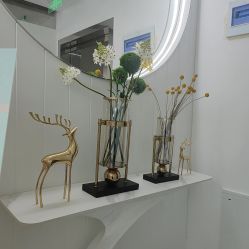 -白月光皮肤管理·德国LDM