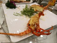 小青龙龙虾-大东海海鲜酒楼(渔人码头总店)