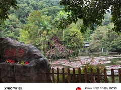 -野象谷景区