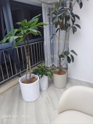 -HEYAN荷妍专业脱毛连锁机构