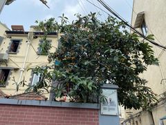 -嘉善老市