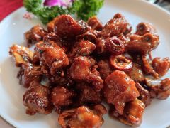 山楂骨-麻奢鸽农庄·梦里水乡