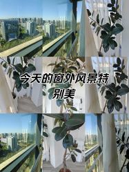 -HEYAN荷妍专业脱毛连锁机构