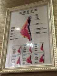 -成都伊贝丝美容美胸SPA会所
