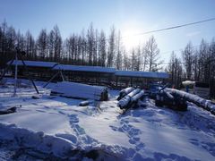 -北极村旅游风景区