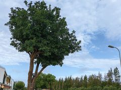 -前小桔亲子创意农场·草莓采摘·露营烧烤