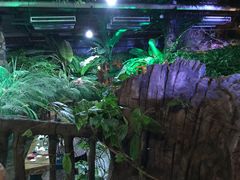 -江天生态园餐厅