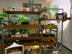 -芳香乐府疗愈空间·SPA·冥想