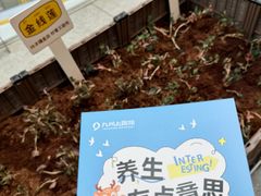 -武汉荟聚