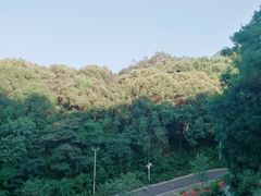 -广州市帽峰山景区