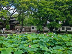 -江心屿景区