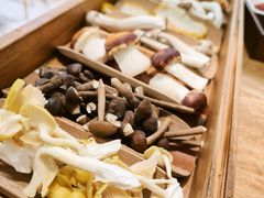 -菌小白·野生菌火锅(时尚天河店)