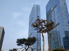 -木塔寺遗址生态公园
