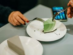 -王守财小山園